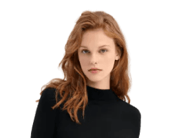 Banner model